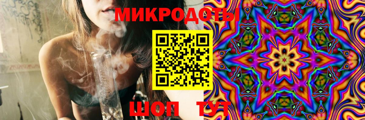Галлюциногенные грибы Psilocybine cubensis Гай